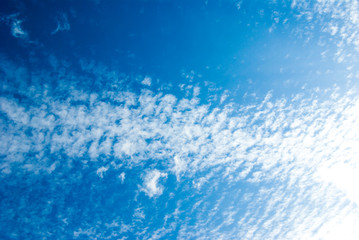 Fototapeta na wymiar 白いうろこ雲と青空