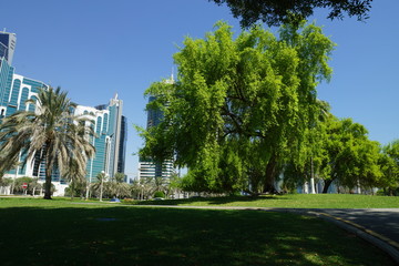 Fototapeta na wymiar park in Doha qatar