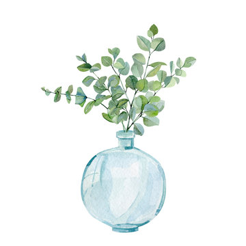Watercolor hand painted plants in glass vase with branches eucalyptus. Eco natural minimalistic illustration for greeting card, poster.
