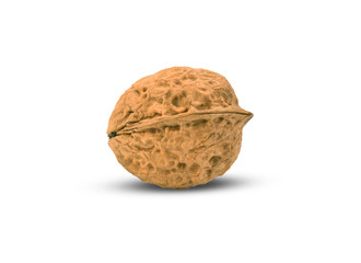 Walnut isolated on a white background.