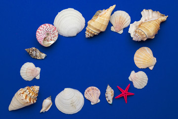 Summer background beach with shells and starfish in shape frame isolated on blue backdrop. Top view travel or vacation concept