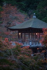 イロハモミジの紅葉と浮見堂の夜明け