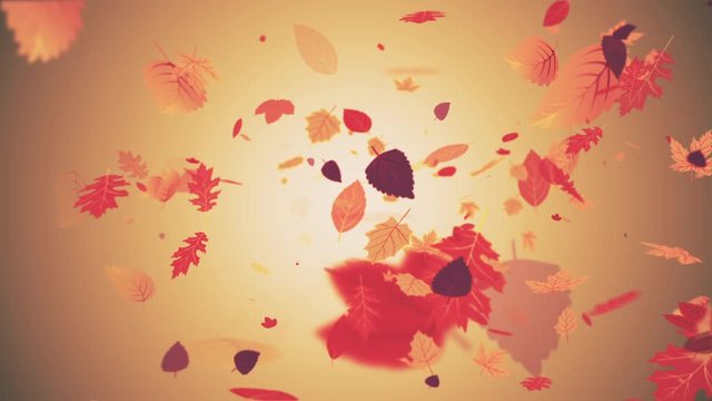 Beautiful autumn colored leaves falling from the sky. Loopable, full hd motion background.