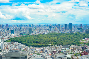 Fototapeta premium 明治神宮（日本、東京）
