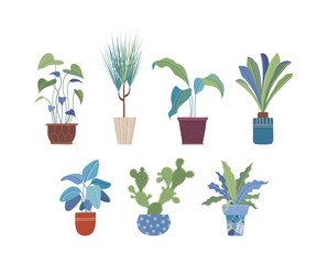 Domestic flowers in pots flat vector illustrations set