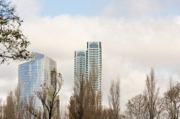 Urban reflection: buildings and trees reflected in a puddle of water