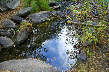 Clouds in the Puddle (CA 02114)