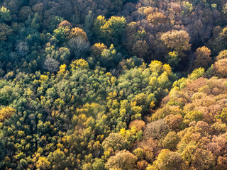 vue a&eacute;rienne de la for&ecirc;t &agrave; l'automne &agrave; Montalet-le-Bois dans les Yvelines en France