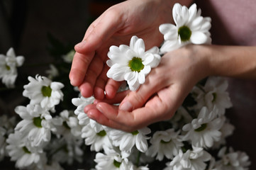 Healthy skin concept. Natural cosmetic. White flower in female hands.
