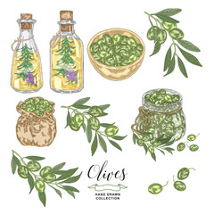 Green olives set. Olive oil, branches and fruits in wooden bowl and glass jar. Vector illustration. Hand drawn engraving style.