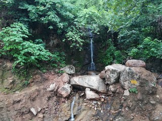 waterfall in forest