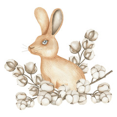 Illustration of hare and cotton