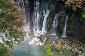 Fototapeta premium Shiraito no taki waterfall are located in the southwestern foothills of Mount Fuji. Ranked among the most beautiful waterfalls in Japan