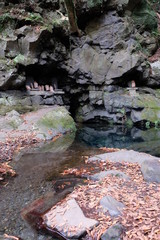 Crystal clear spring pool at Shiraito no taki waterfall area of southwestern foothills of Mount Fuji. 