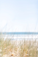 View over beach grasses to blue ocean on a warm summer day