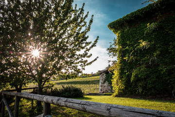 Abandoned farm in the countryside of Italy