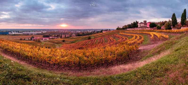 Autumn sunset in the vineyards of Collio Friulano