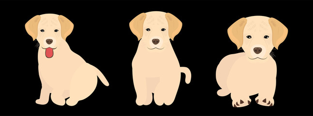 vector illustration dog isolated on white background