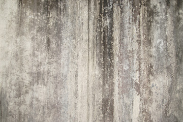 Abstract,Texture of old concrete wall,Grey Cement textured abstract background,old wall with lichen,Dirty white wall background close up moss texture on cement wall