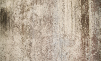 Abstract,Texture of old concrete wall,Grey Cement textured abstract background,old wall with lichen,Dirty white wall background close up moss texture on cement wall