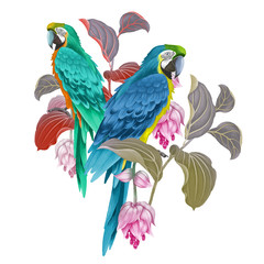 Macaw birds, flowers and leaves of exotic plant.