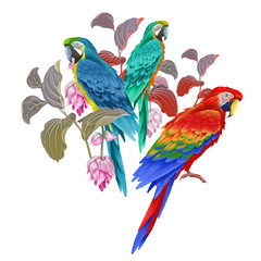 Macaw birds, flowers and leaves of exotic plant. Exotic floral decoration.