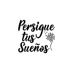 Follow your dreams - in Spanish. Lettering. Ink illustration. Modern brush calligraphy.