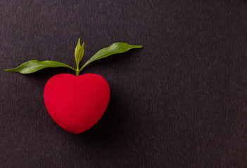 close-up of a red heart with green leaves on black background. Go vegan concept