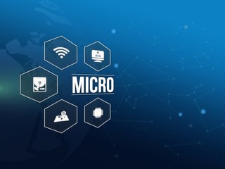 micro