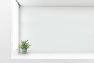White shelf against white wall with green plant. copy space