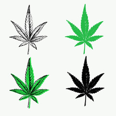 Cannabis leaves set: outline, green and black silhouette. CBD Cannabidiol marijuana icon, medical herbs. Hand-drawn hemp. Stock vector elements isolated on transparent background.