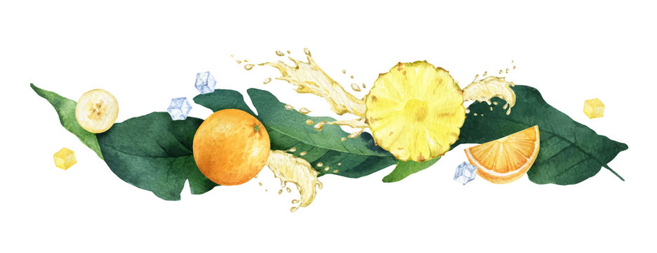 Watercolor vector composition of green tropical leaves and fruits.