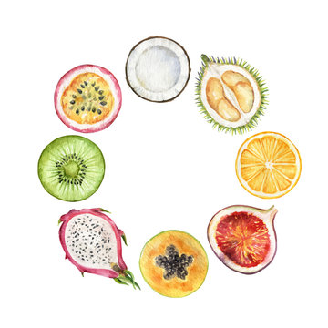 Watercolor vector hand painted frame of exotic fruits.