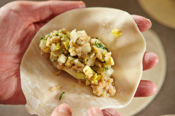 Home made hand wrapping dumpling 