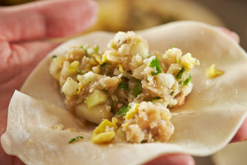 Home made hand wrapping dumpling 
