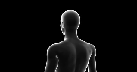 Man, Male 3D Model, Seamless Loop, Transparent with Alpha