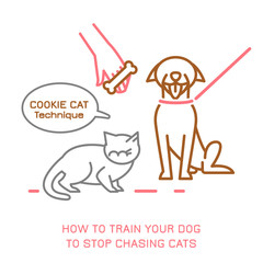 Dog training technique