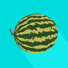 Watermelon icon with long shadow. Vector fruit illustration with flat design.