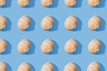 Seashells pattern on a orange background. Hello Summer concept. shell repeating. Top view