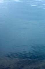 water background. river. beautiful dark