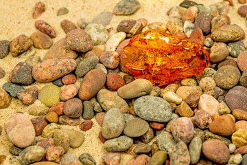 Amber on a beach with pebbles