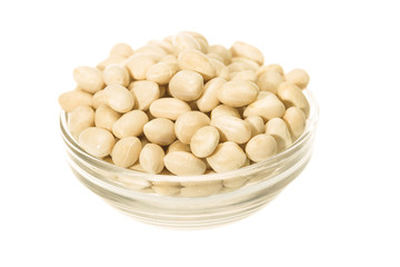 White beans of the Fessol de Santa Pau variety