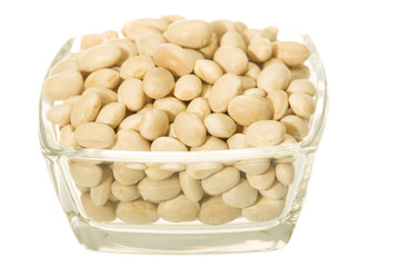 White beans of the Fessol de Santa Pau variety