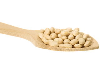 White beans of the Fessol de Santa Pau variety