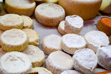 Fototapeta na wymiar Many cheeses with white mold