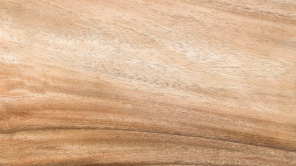 Close up texture and surface of wood pattern background. Abstract wallpaper from wood.
