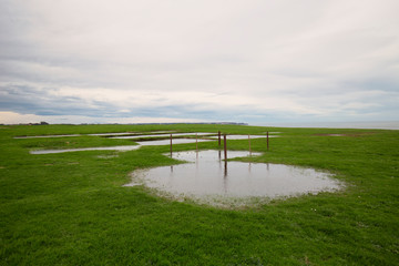 Meadow with puddles after rain, archaeological and natural Park of Campa-Torres - 320492505