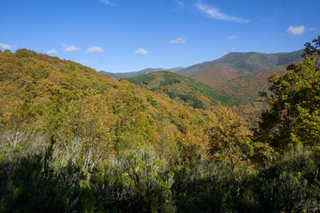 Natural park of Hayedo de Montejo.