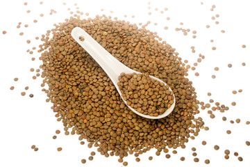 Lentil Pardina, variety of legumes