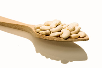 White beans of the Mongeta variety of the Ganxet